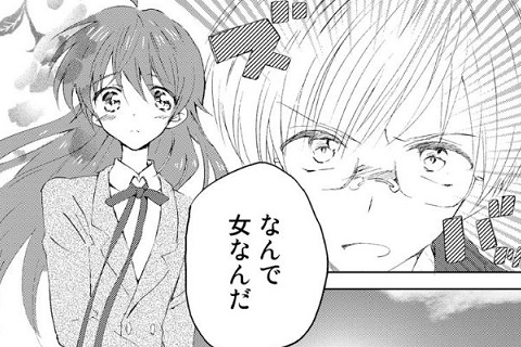 オトコの娘もの少女漫画「女装転校生ヒロ」シリーズはじまりの一冊