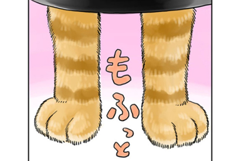 探偵のアシはモフモフ