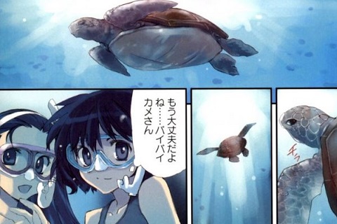 北海道から沖縄まで、フルカラー日本紀行